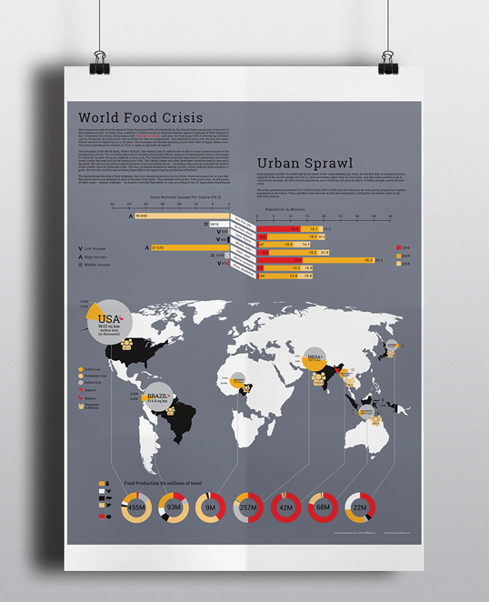 World Food Crisis Infographic
