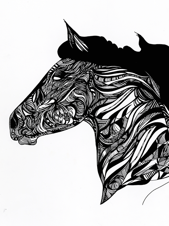 Horse Illustration