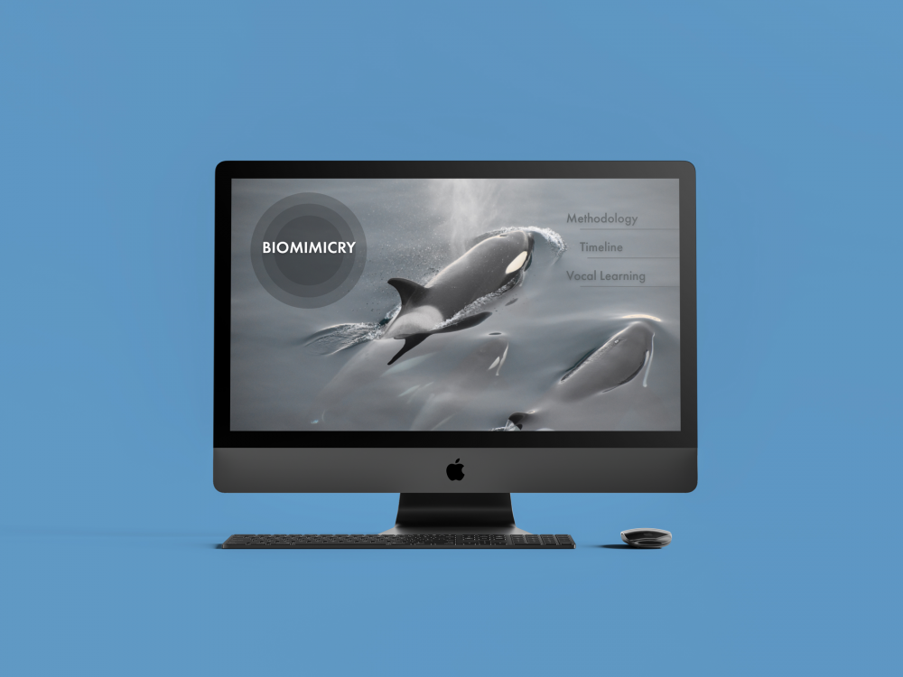 Interactive Infographic: Biomimicry 1