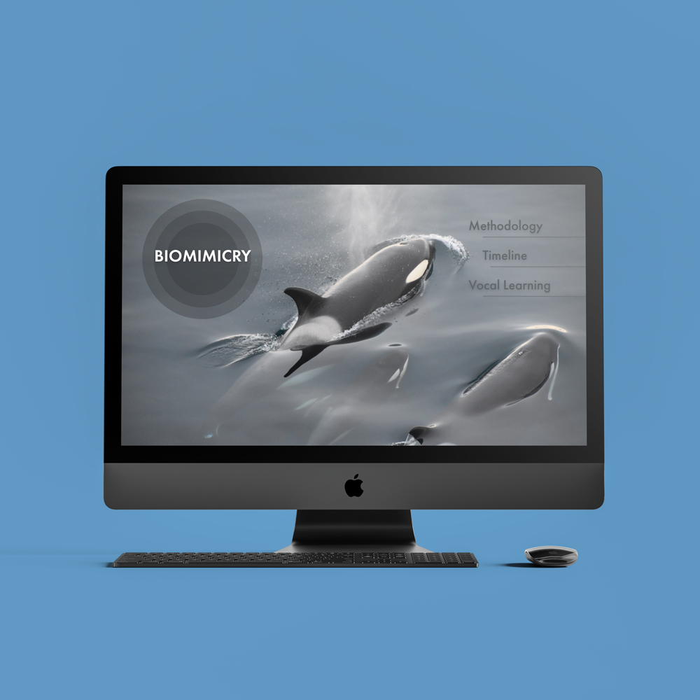 Interactive Infographic: Biomimicry