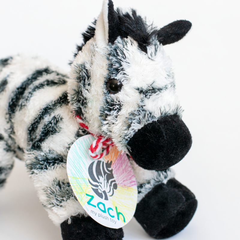 ACE Student Workshop | Zebra Child Protection Centre Campaign