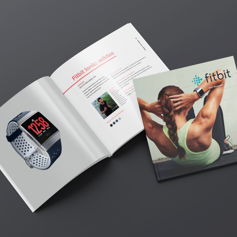 Fitbit Hypothetical Catalog 