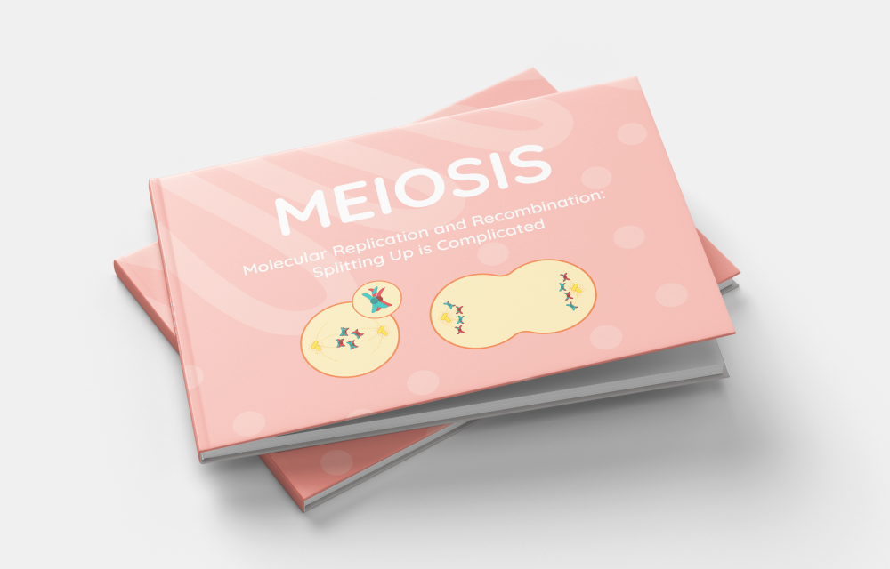 Meiosis - Sex Cell Reproduction Explained 1