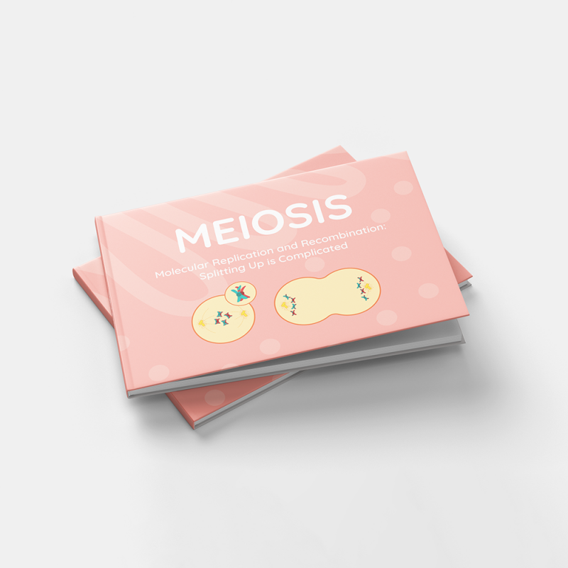 Meiosis - Sex Cell Reproduction Explained