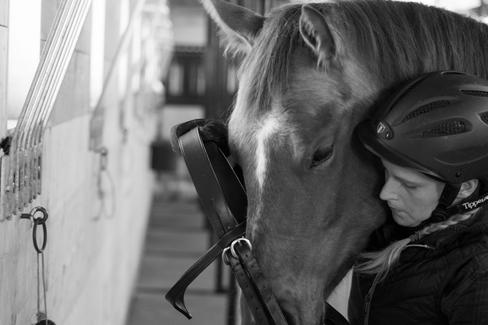 Horse and Owner Photoshoot 2