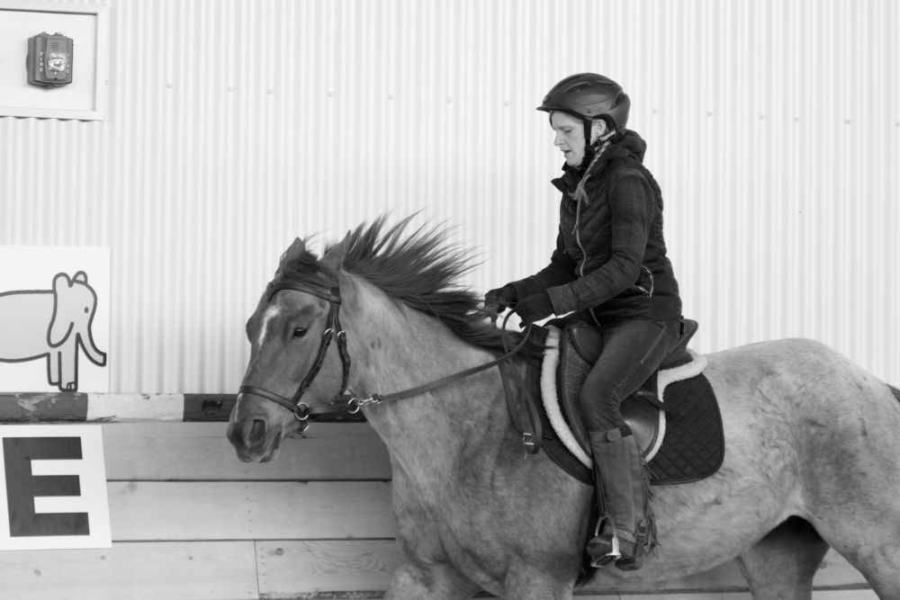 Horse and Owner Photoshoot 4