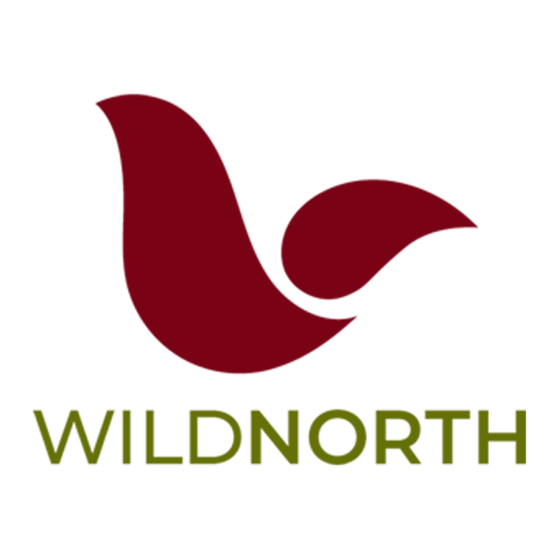 WildNorth Brand Redesign 2