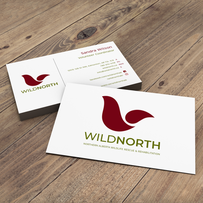 WildNorth Brand Redesign 3