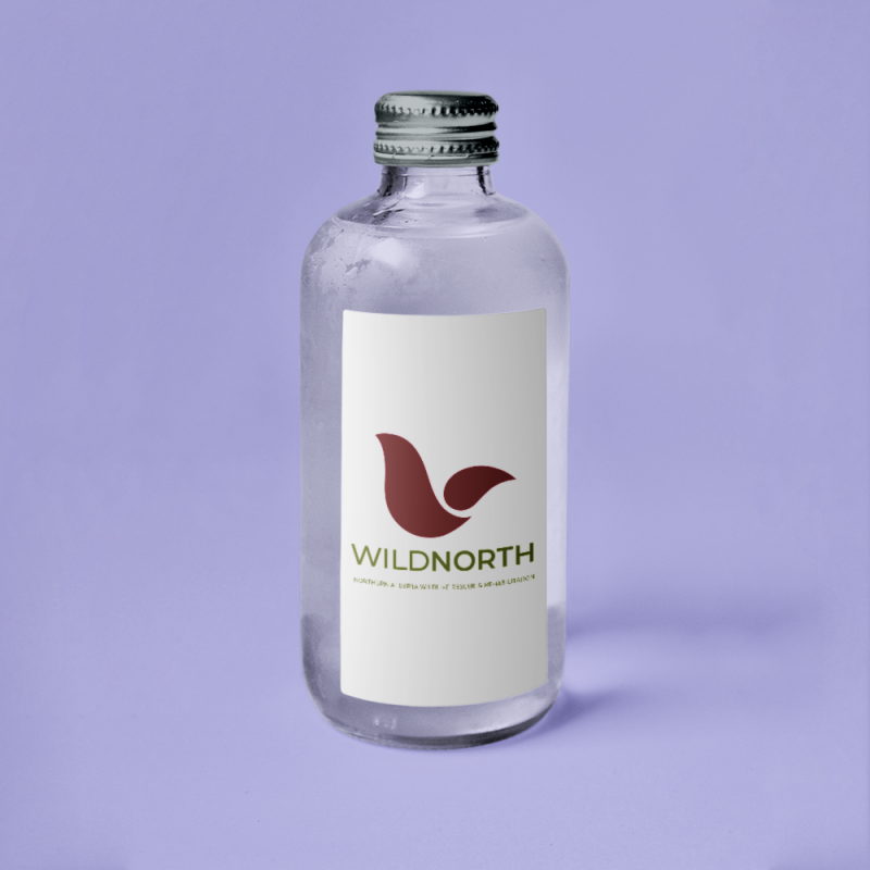 WildNorth Brand Redesign 4