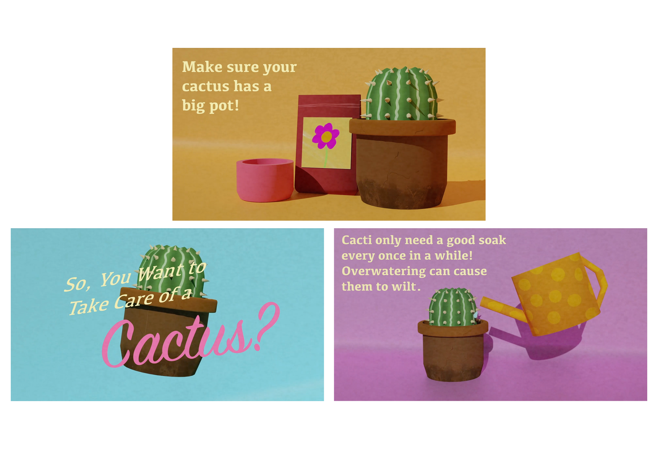 How to Take Care of a Cactus Explainer Video 2