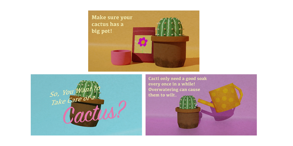 How to Take Care of a Cactus Explainer Video