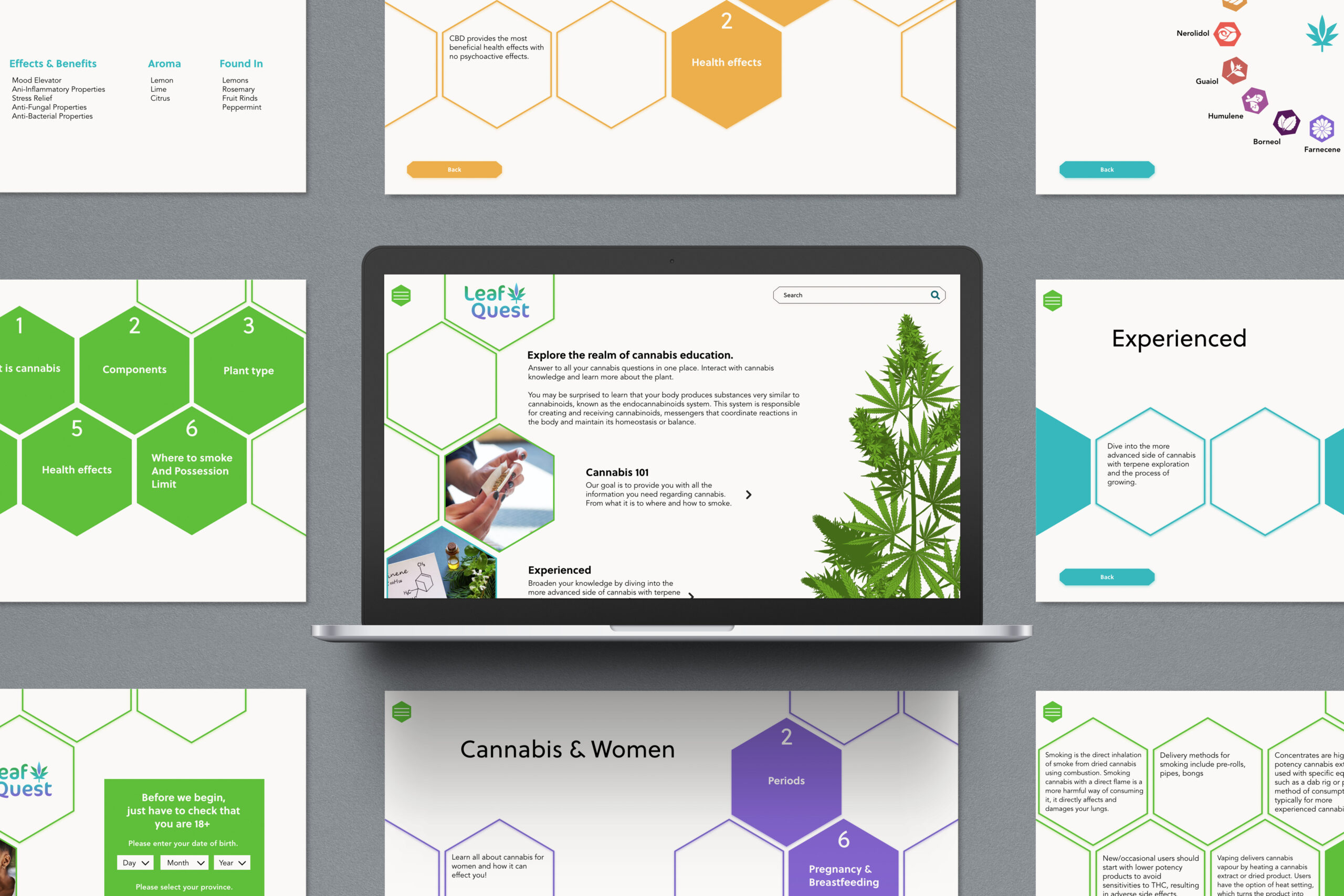Promotion Of Cannabis Knowledge: Interactive Website￼
