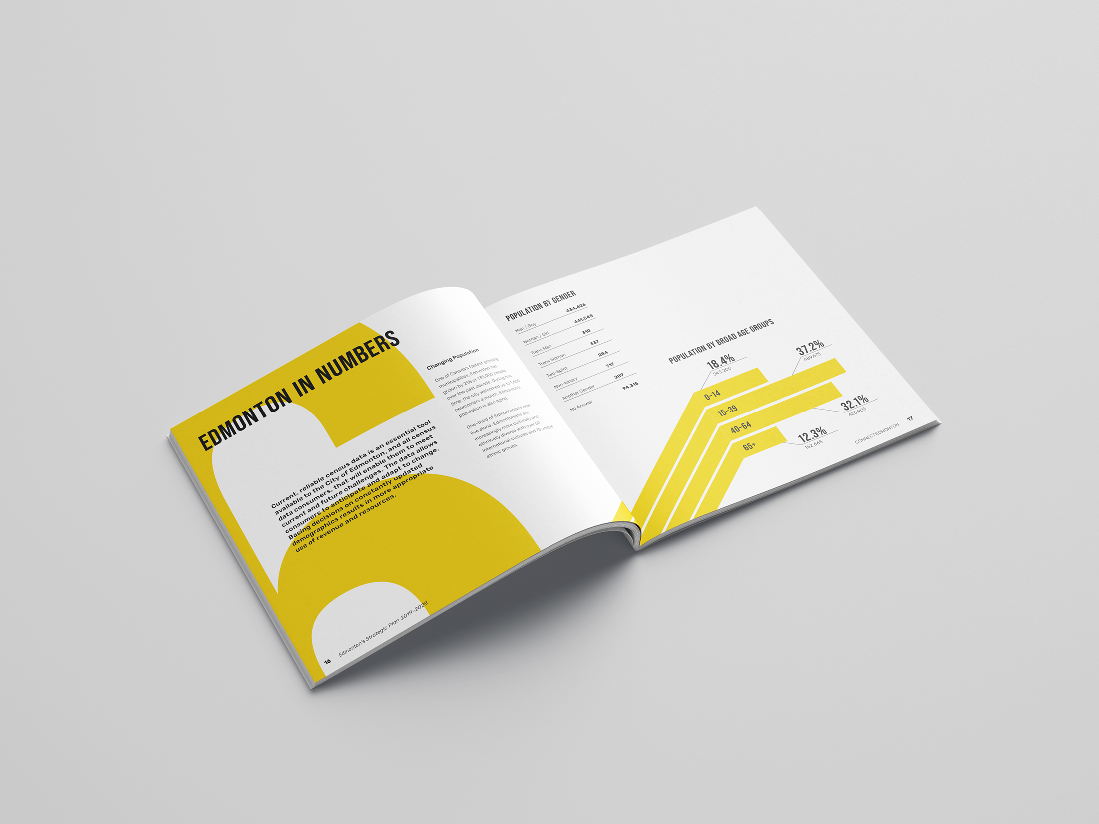 Brochure Design: ConnectEdmonton Annual Report 5