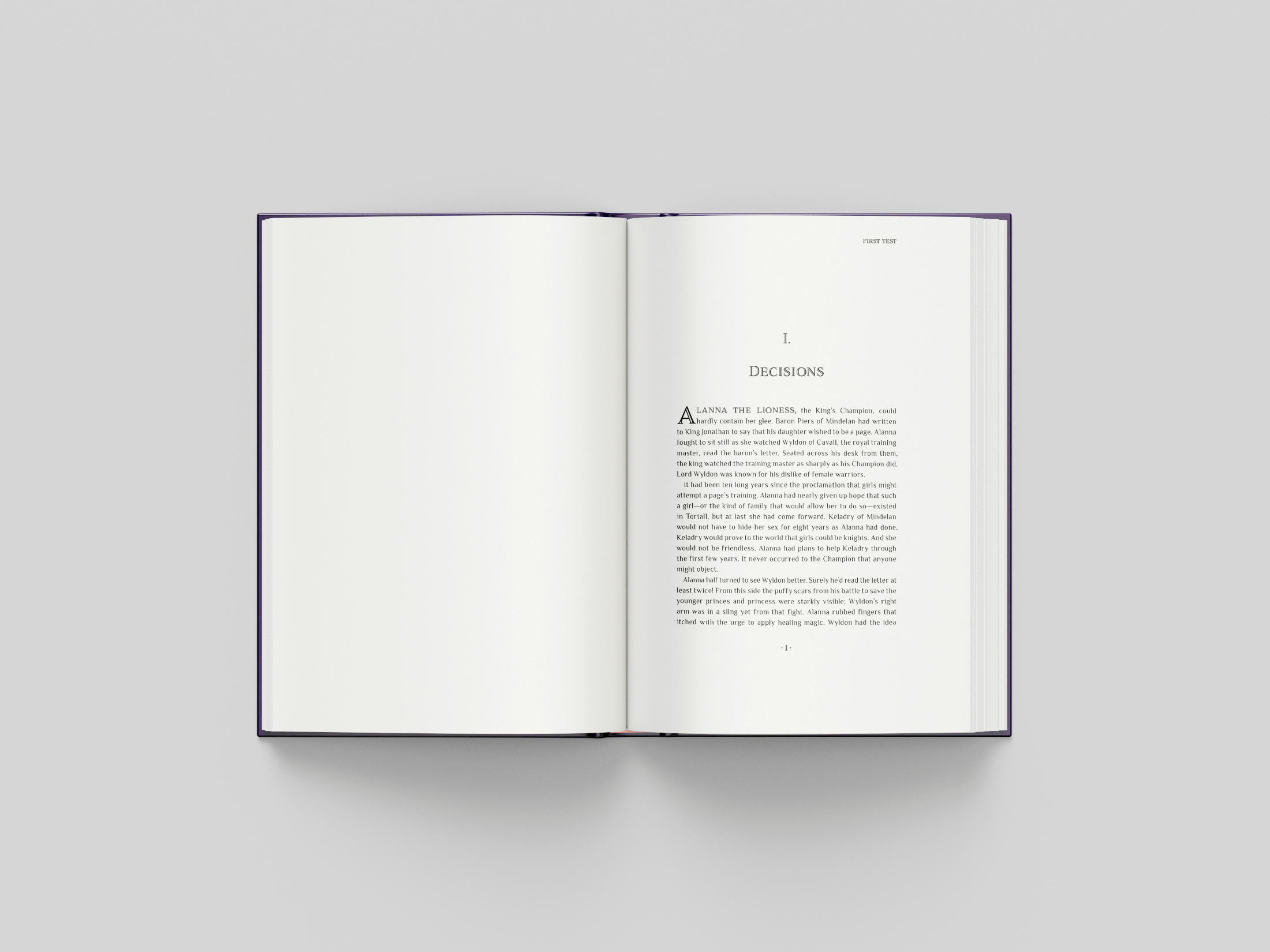 First Test Book Design - Image 2