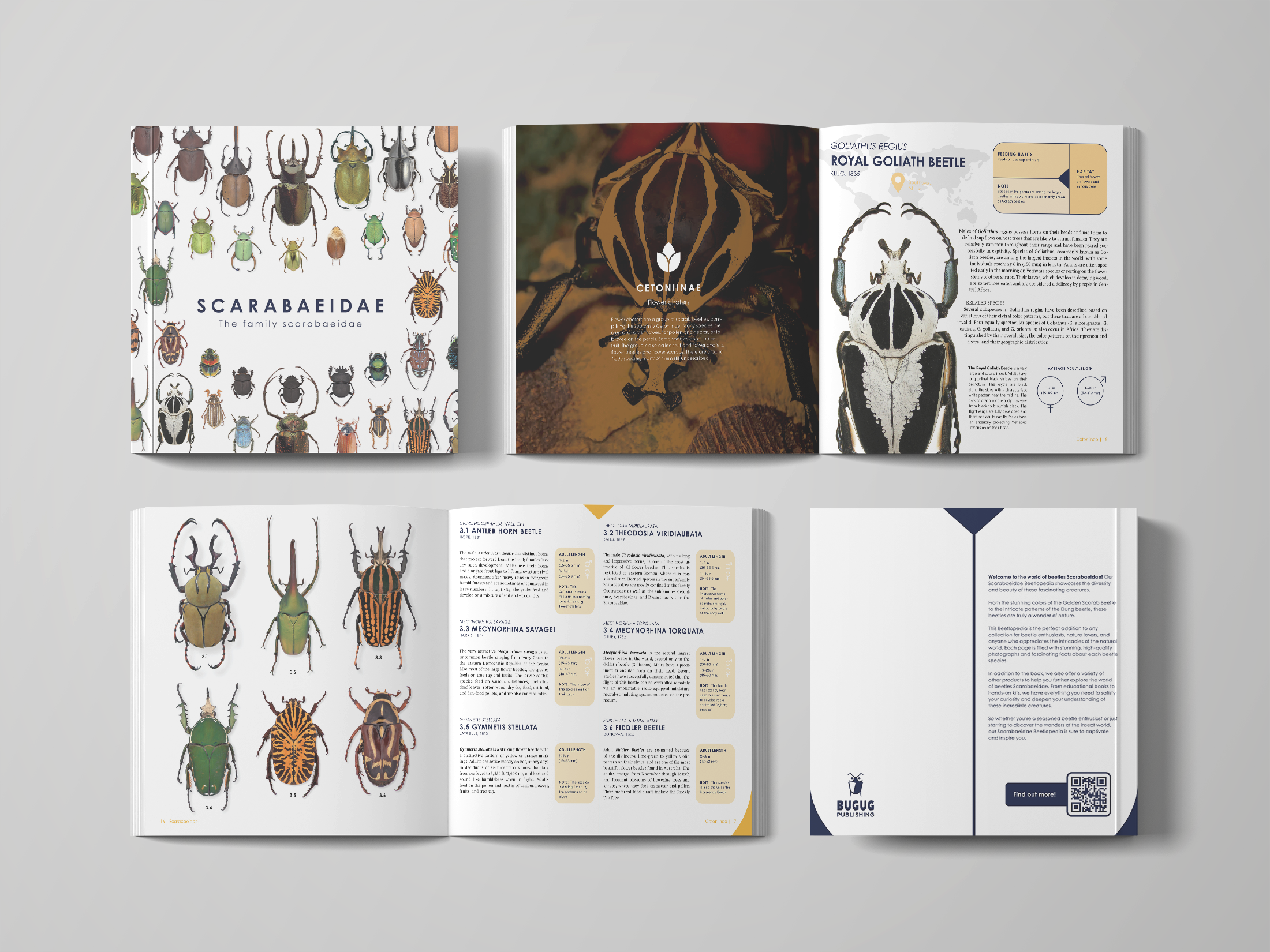 Scarabaeidae: The Family Scarabaeidae - Image 2
