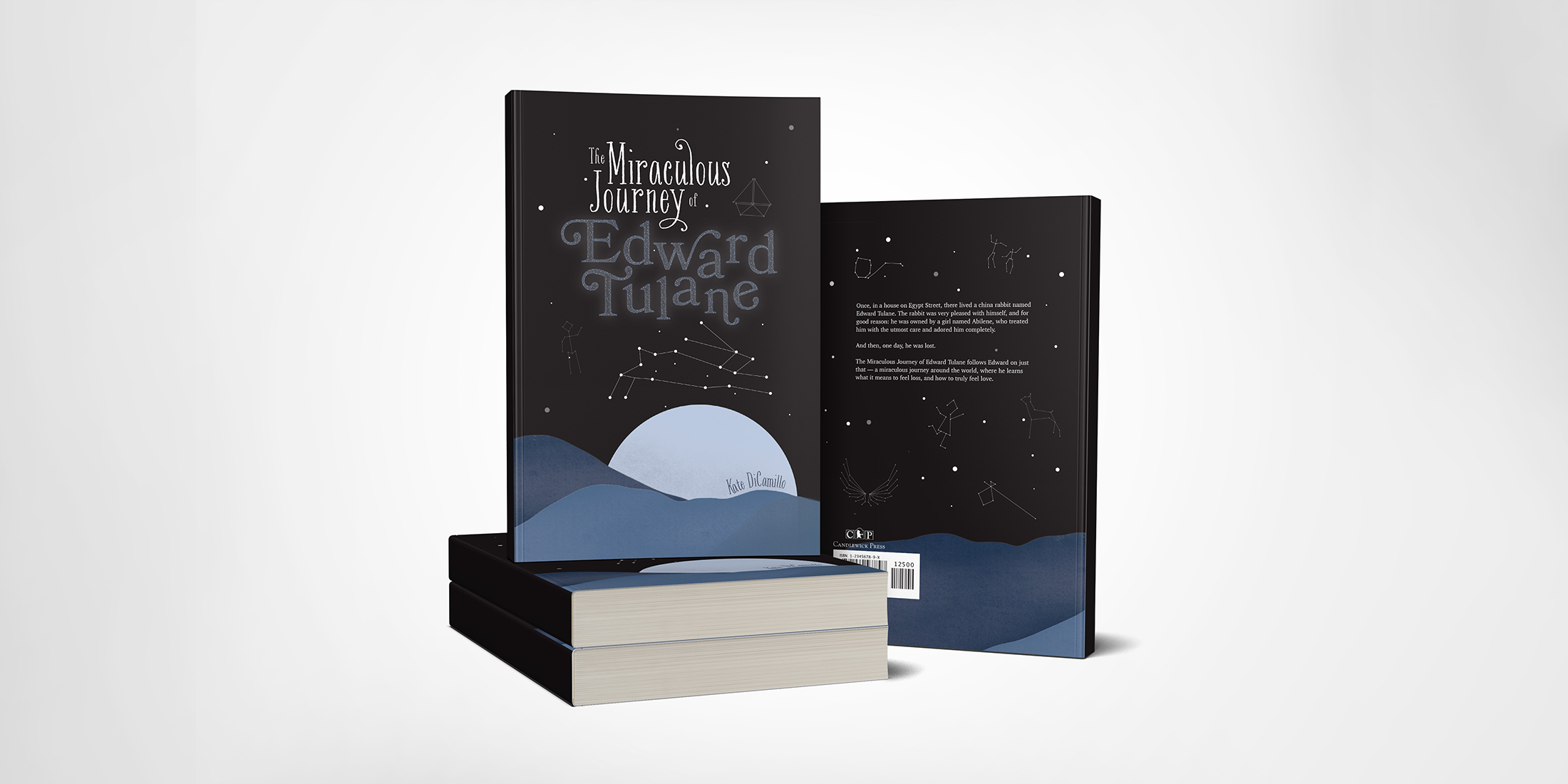 The Miraculous Journey of Edward Tulane - Book Redesign - Image 1