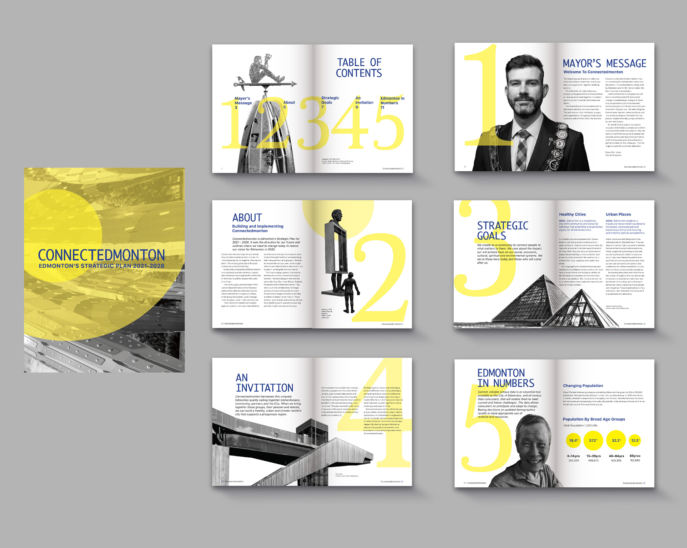 Connected Edmonton Annual Report - Project type: Publication