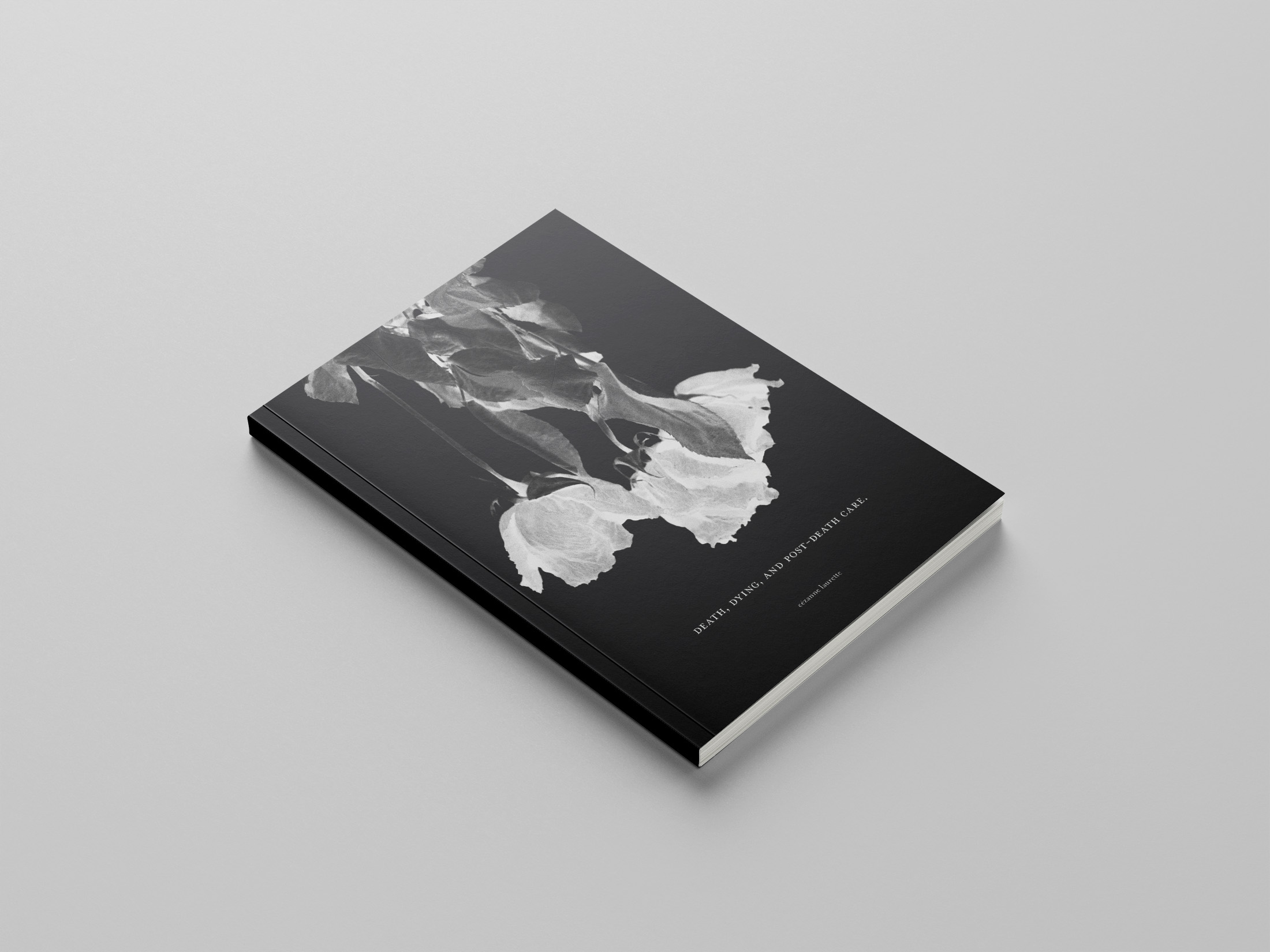 Researching The Delicate Art of Planning for the Inevitable
