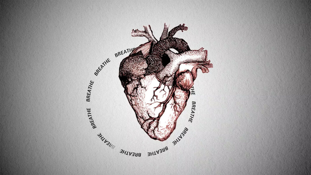 Life & Death 
