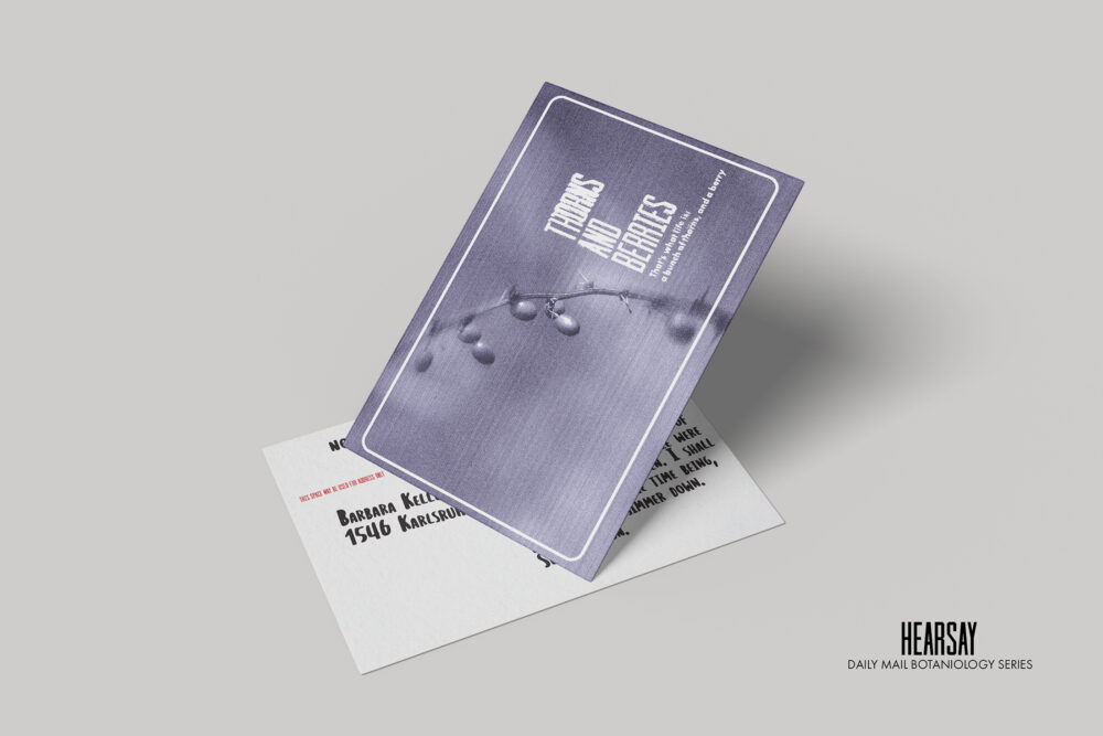 Book of the Year: Hearsay Postcards