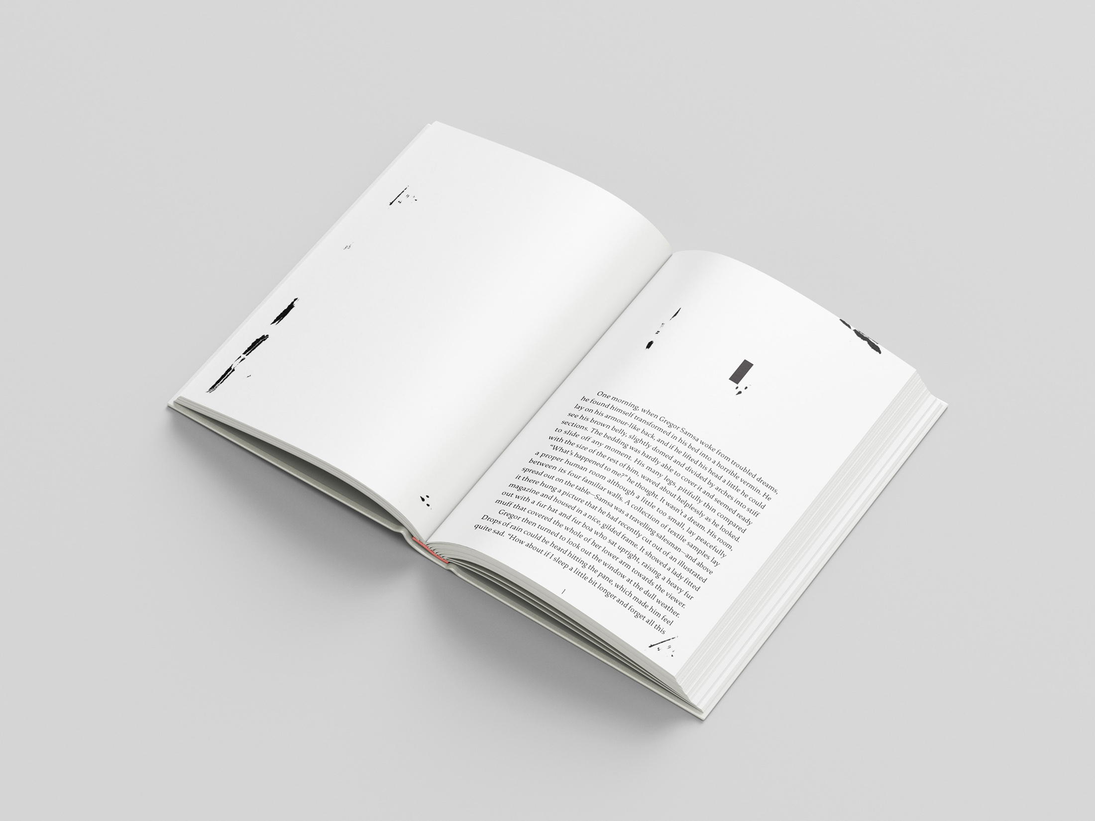 The Metamorphosis Book Design