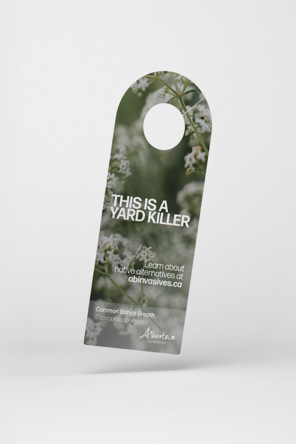 Yard Killer Campaign