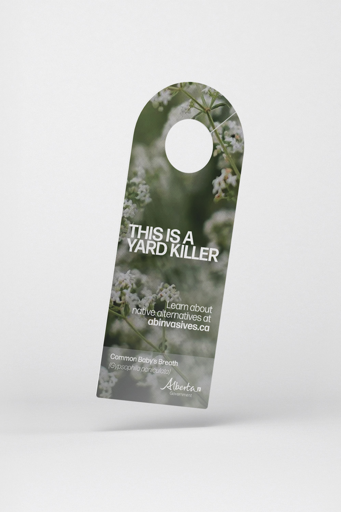 Yard Killer Campaign