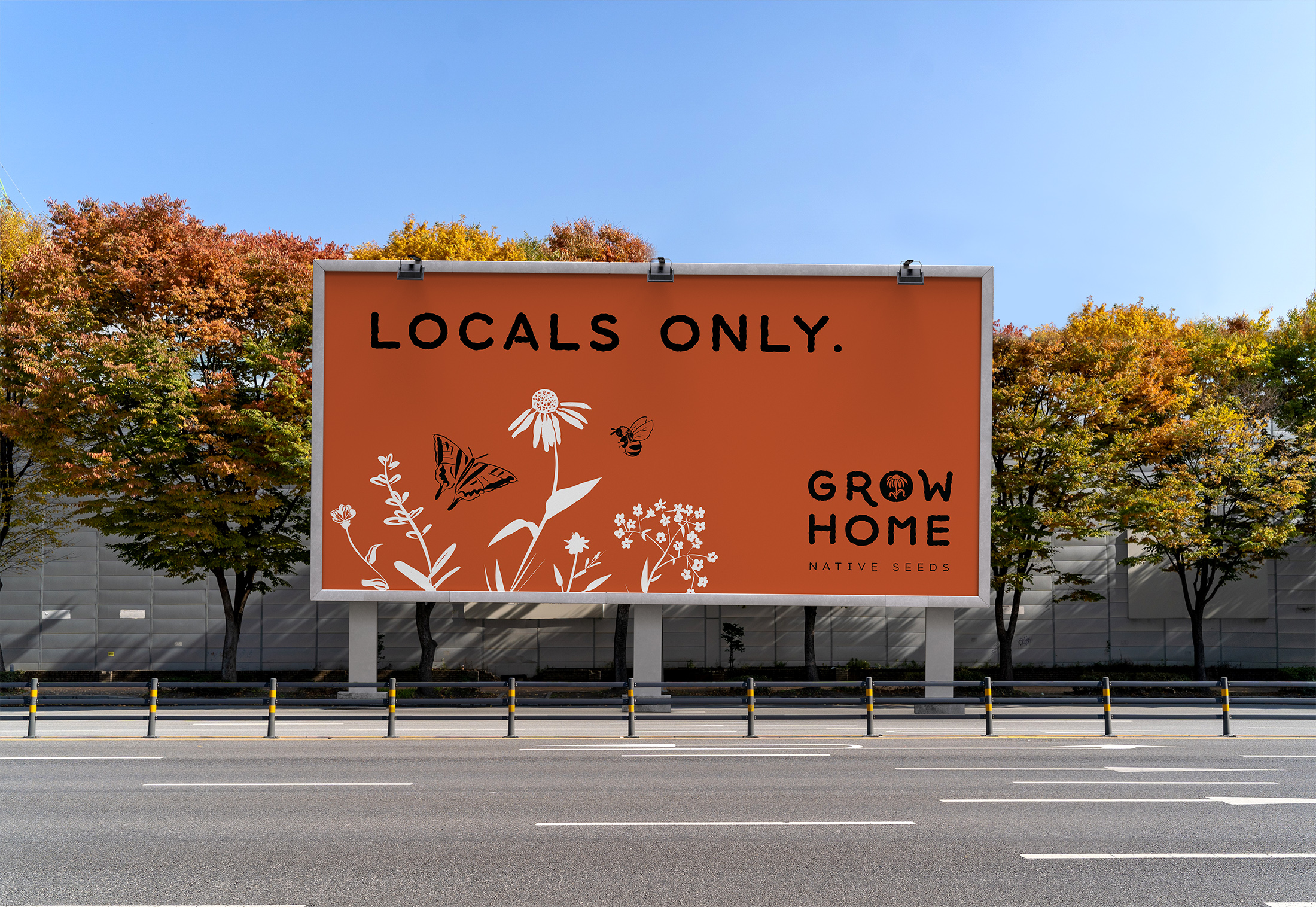 Grow Home Native Seeds