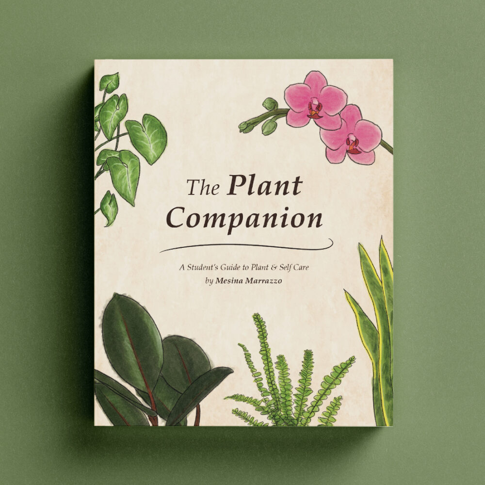 The Plant Companion