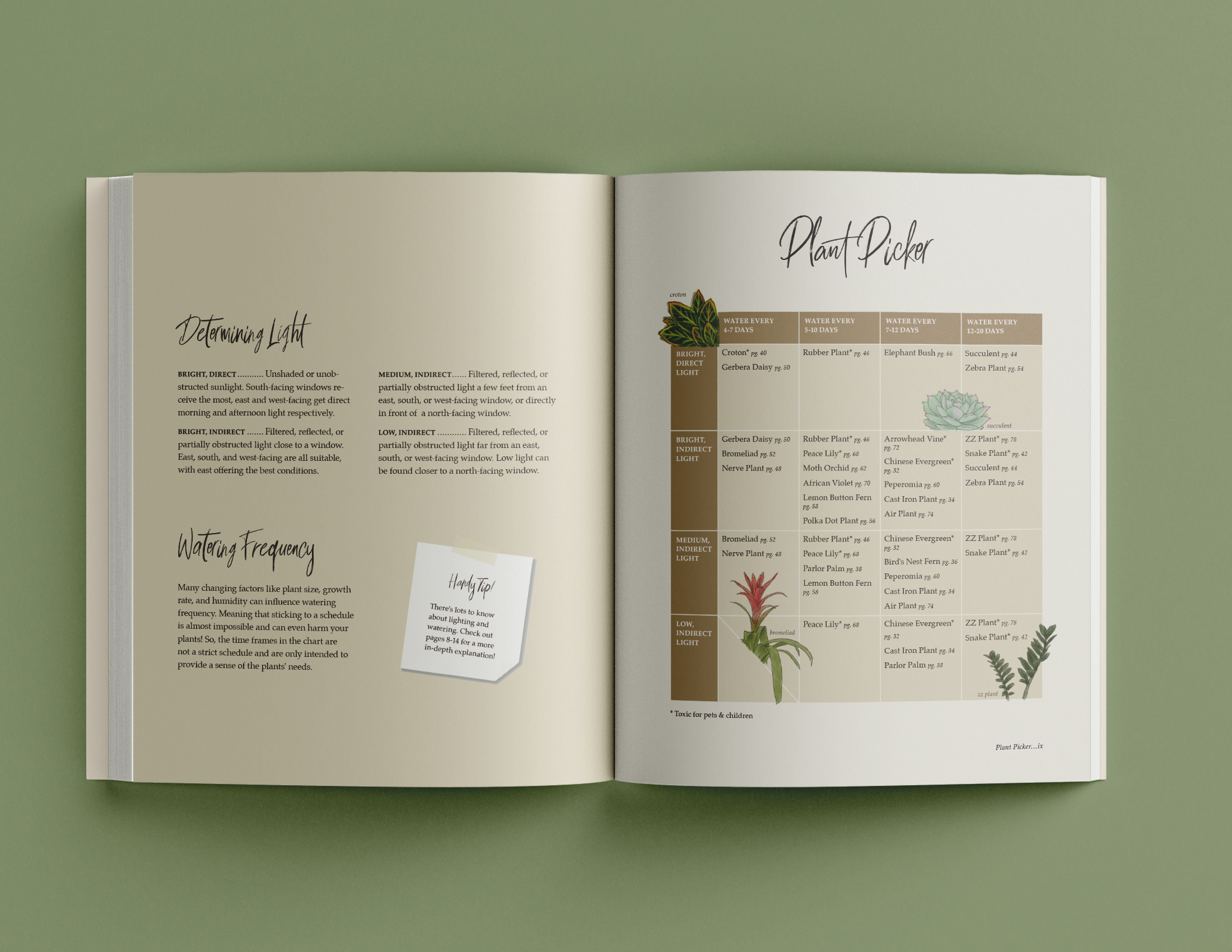 The Plant Companion