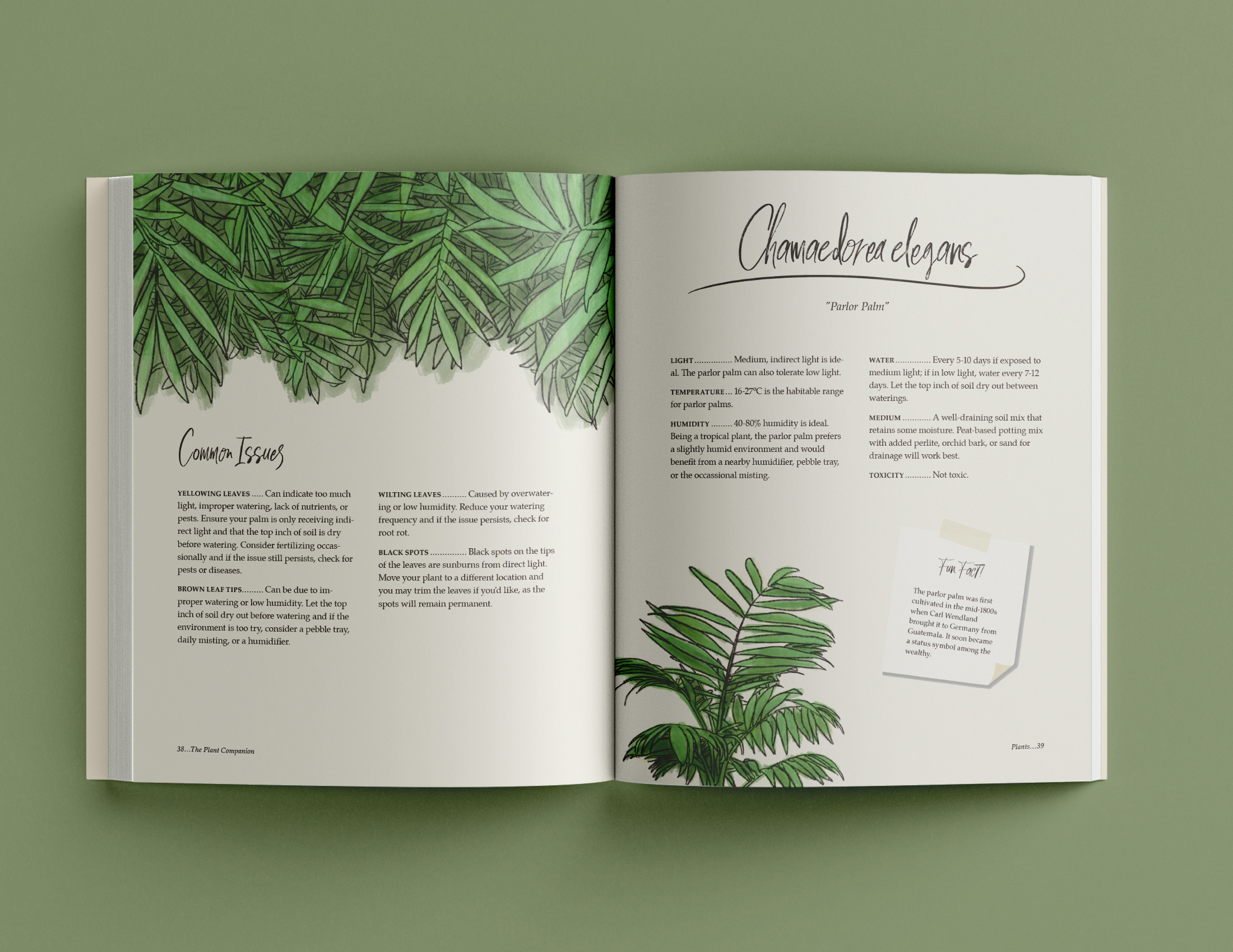 The Plant Companion