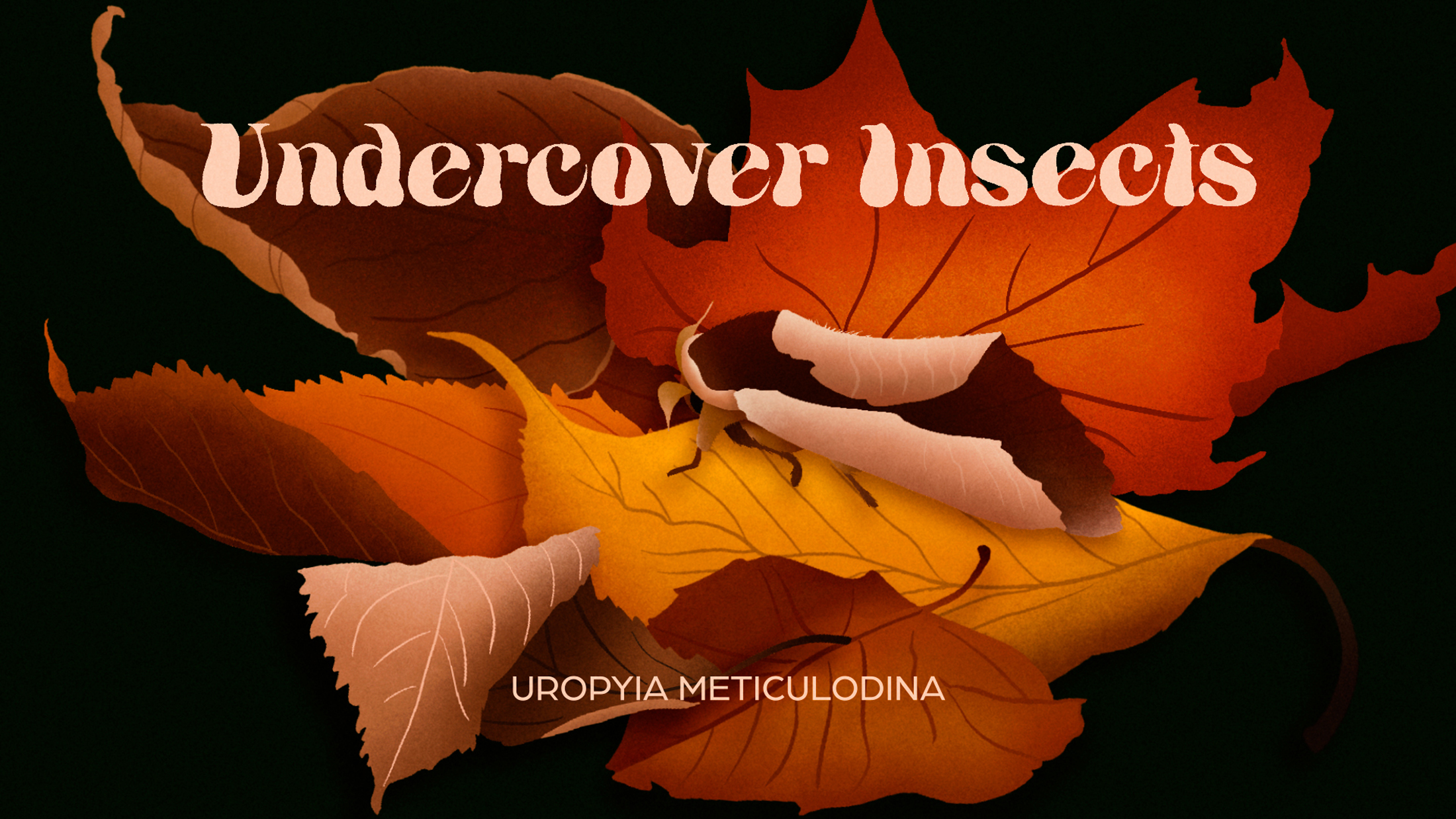 Undercover Insects