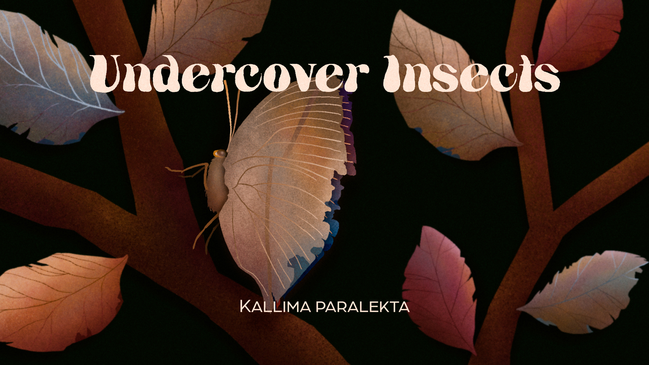 Undercover Insects