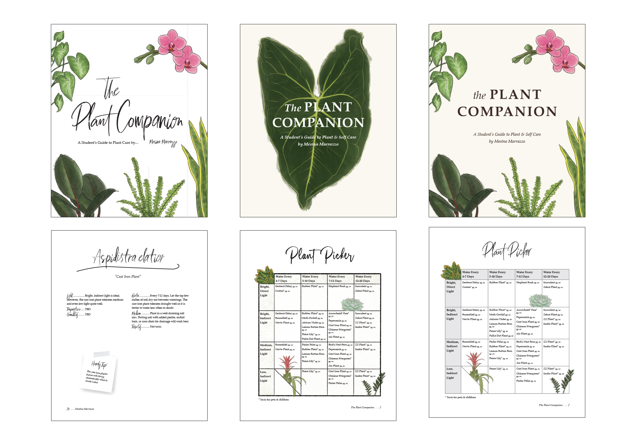 The Plant Companion