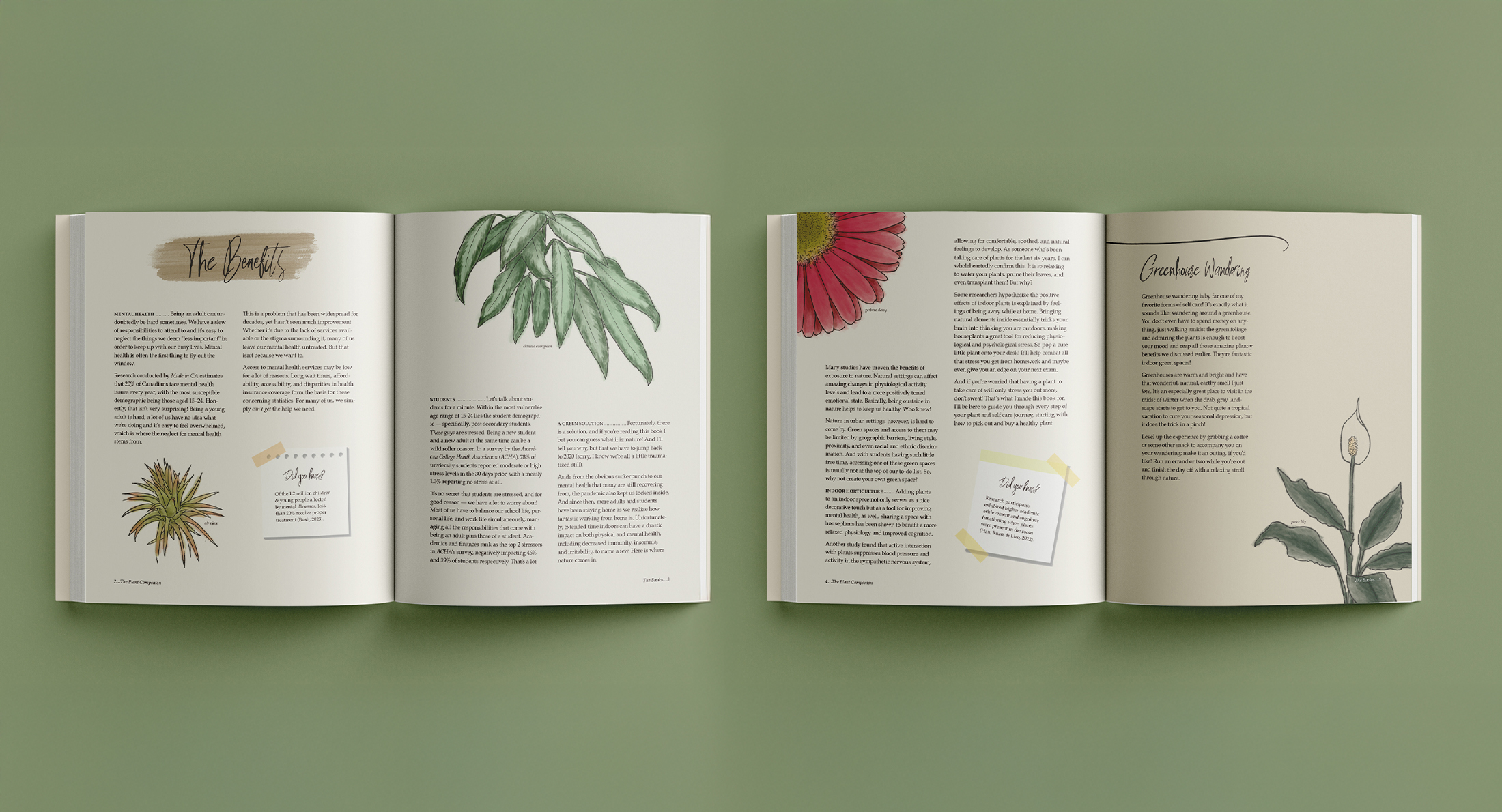 The Plant Companion