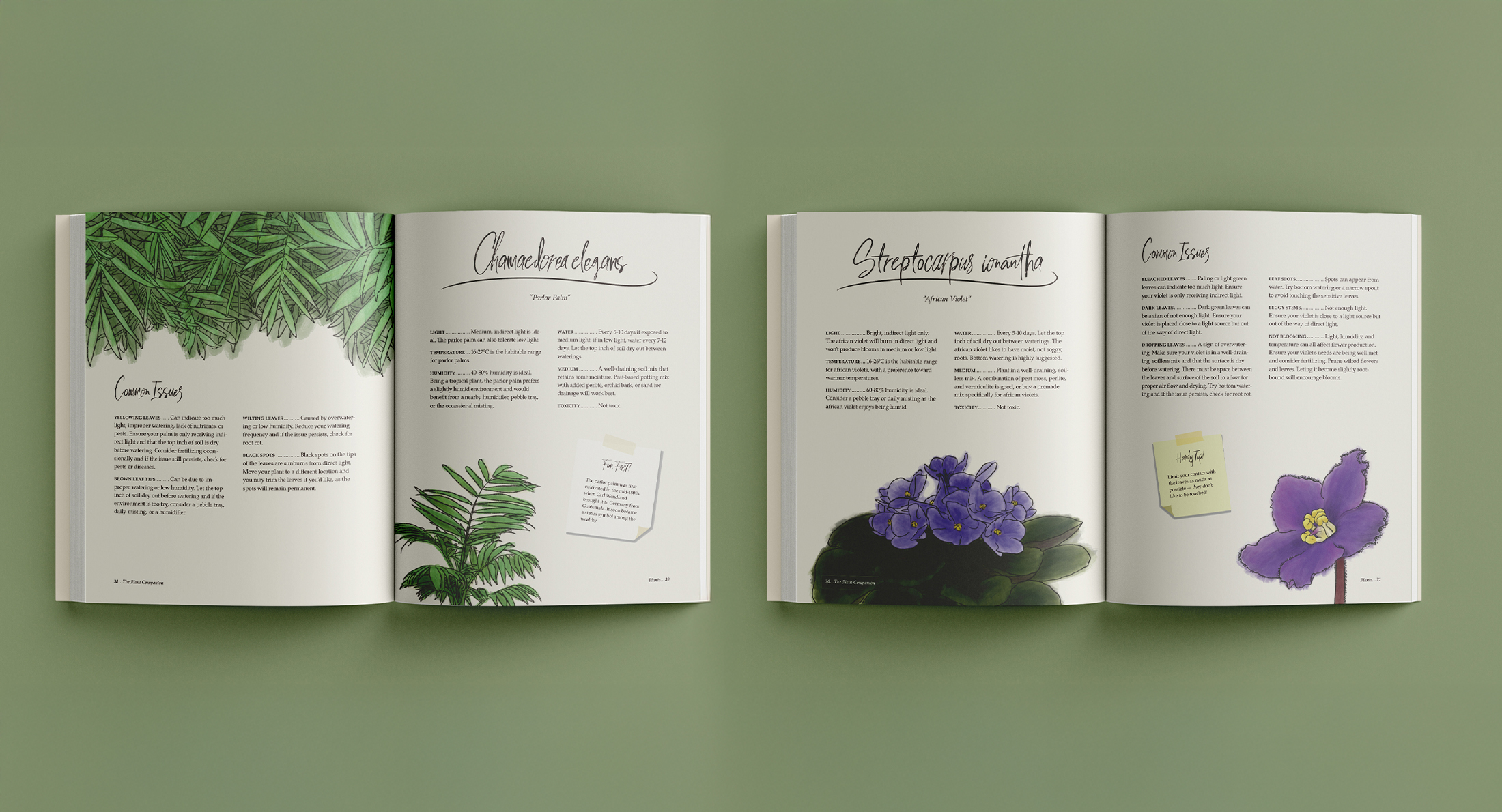 The Plant Companion