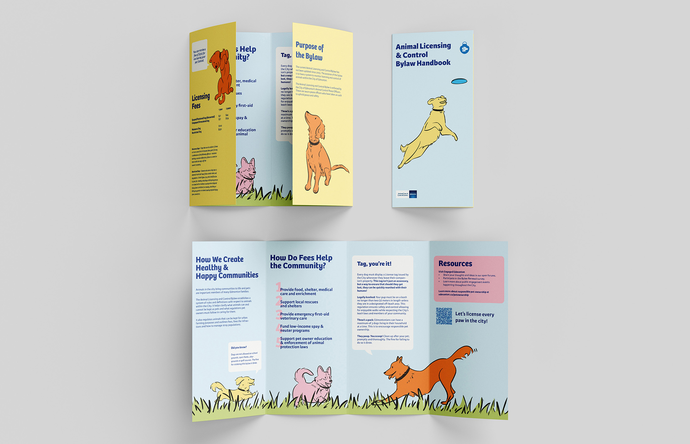Every Paw: Educating First-Time Dog Owners About the Benefits of Dog Licensing