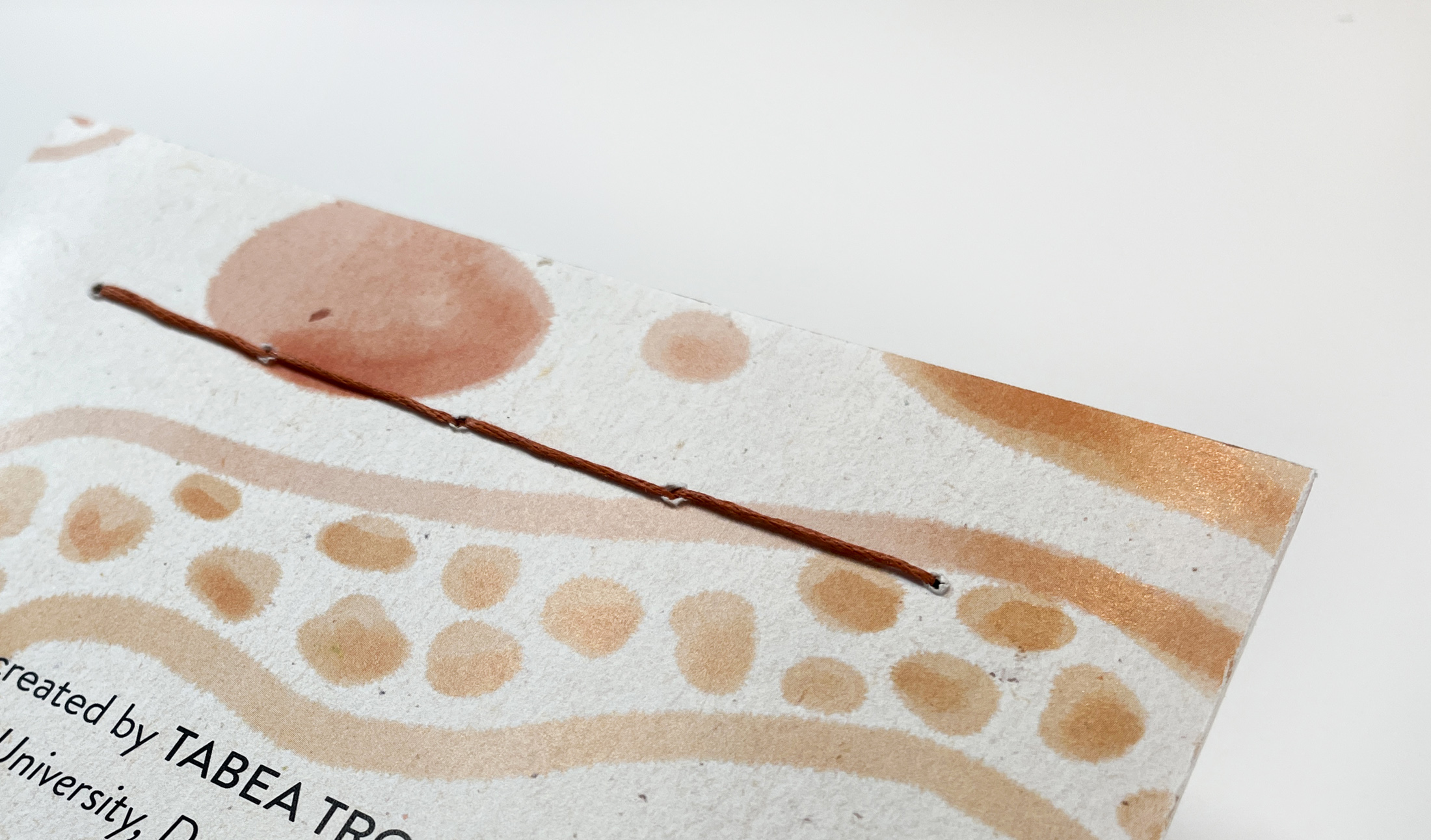 The Small Steps Kit: The Role of Aesthetics in Climate Change Engagement Among Design Students