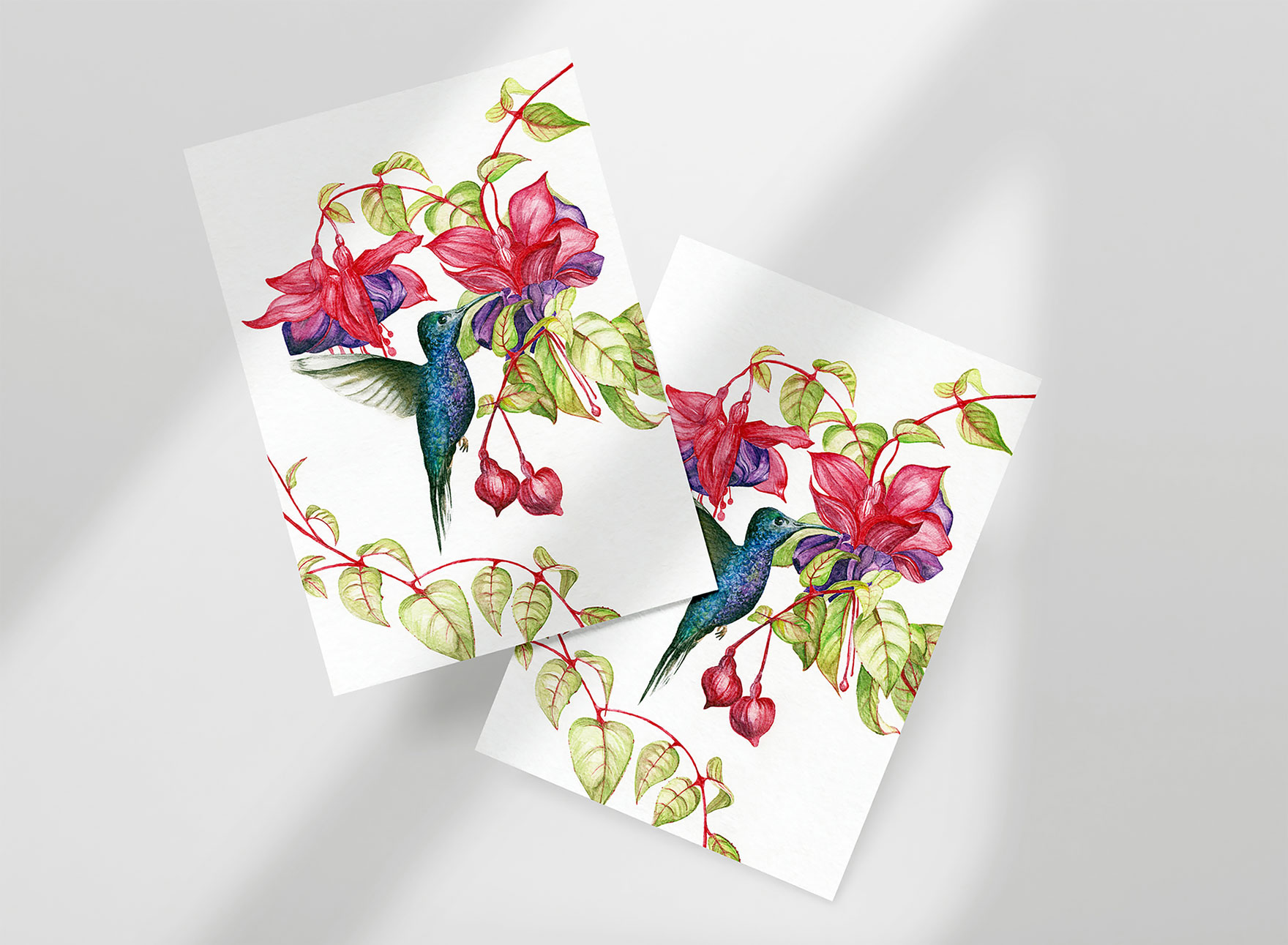 DESN200 P4 Andrews Kaelyn Hummingbird Secondary 02