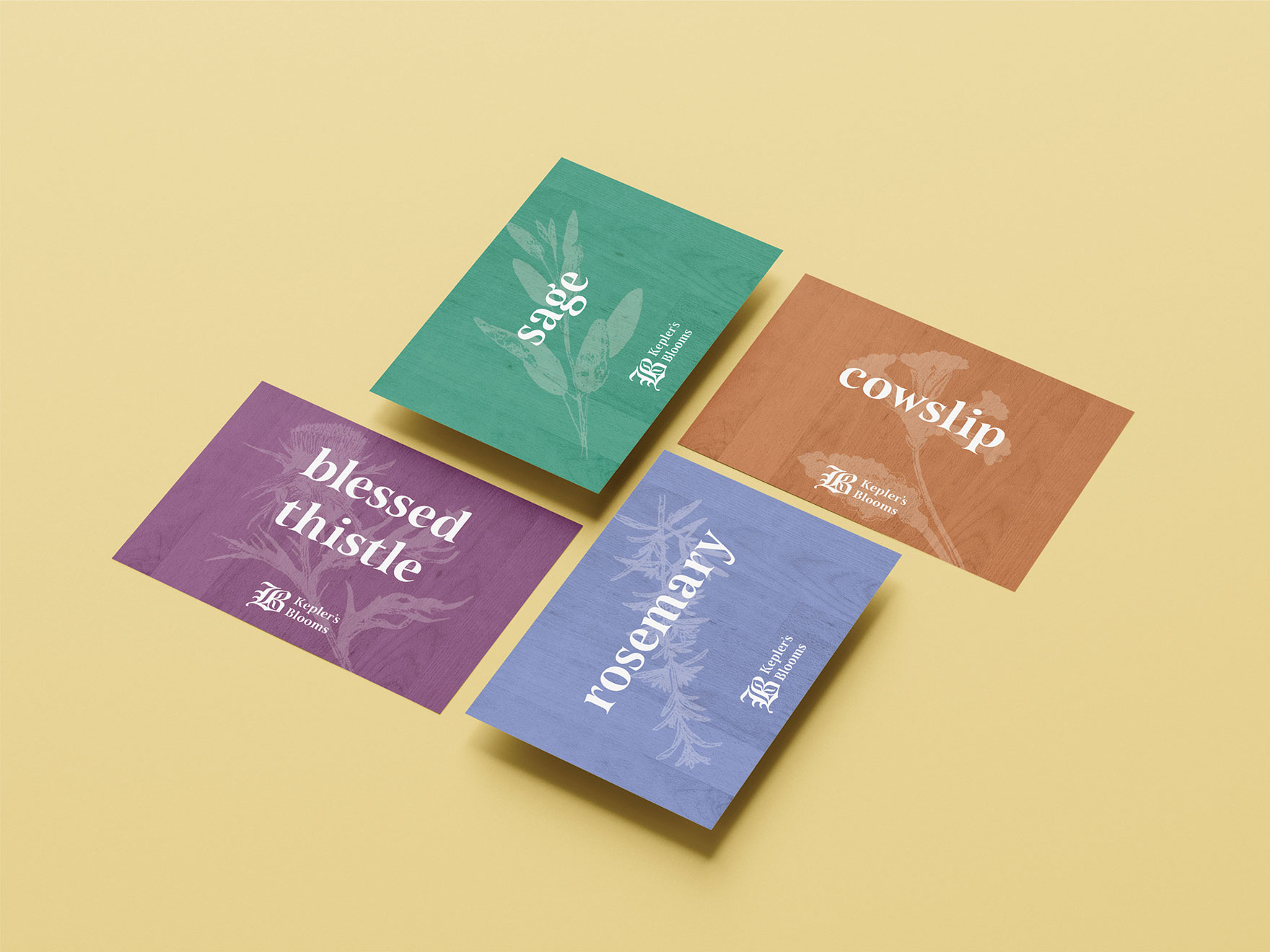 DESN231 P5 Woudstra Susanna cards