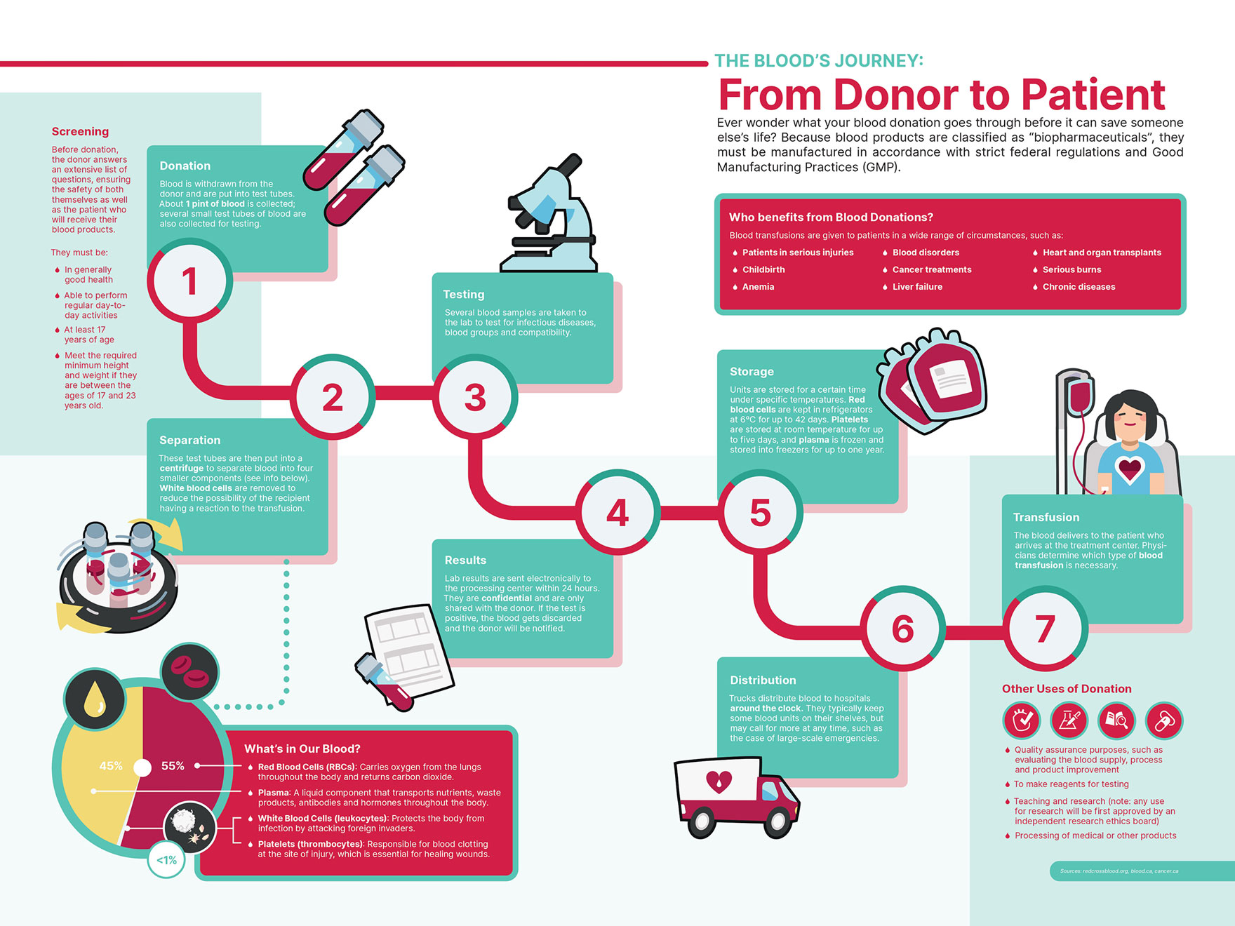 DESN313 p2 Lee Victoria client