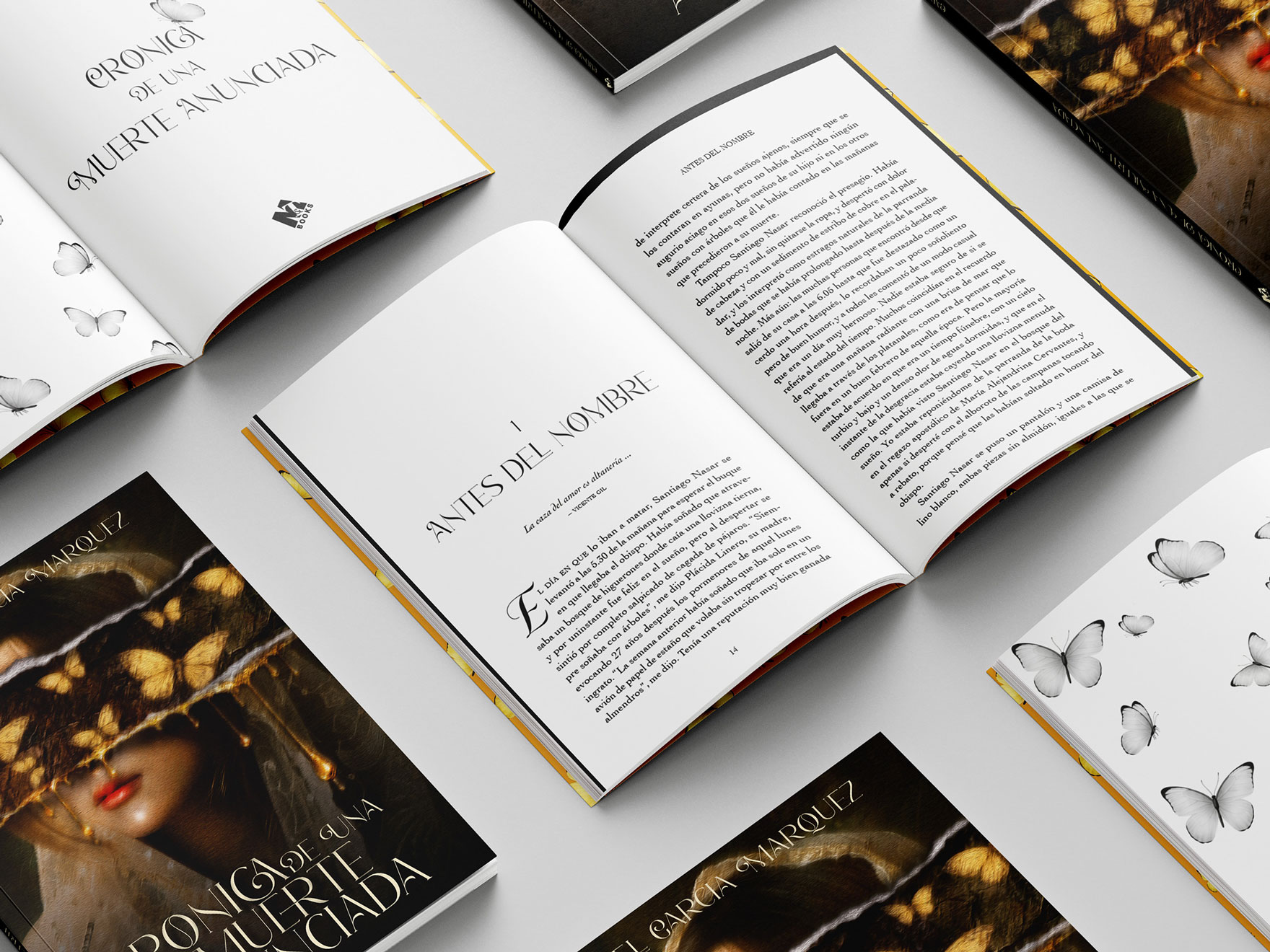 DESN317 P1 Lozano Natalia Mockup 2