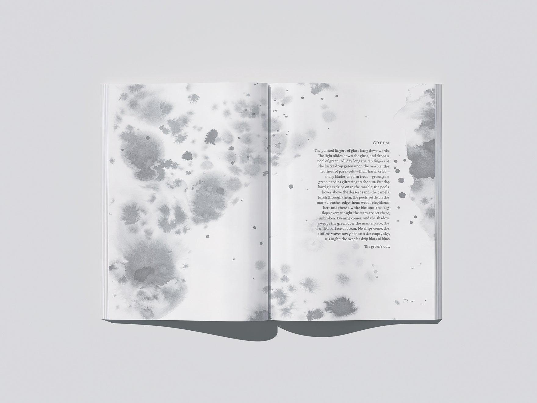 DESN317 P1 Woudstra Susanna spread 1