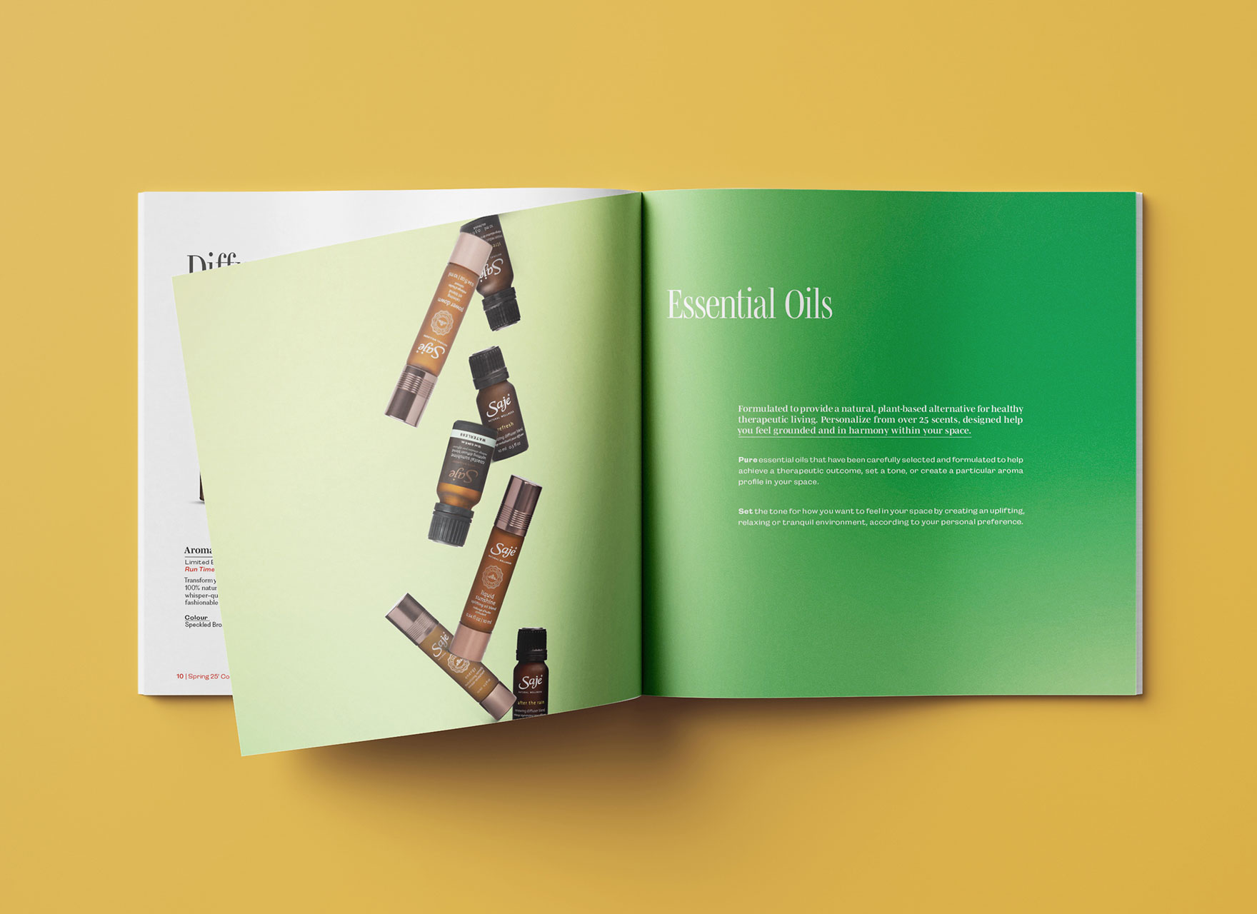 DESN317 P3 Cairns Hunter Saje 1