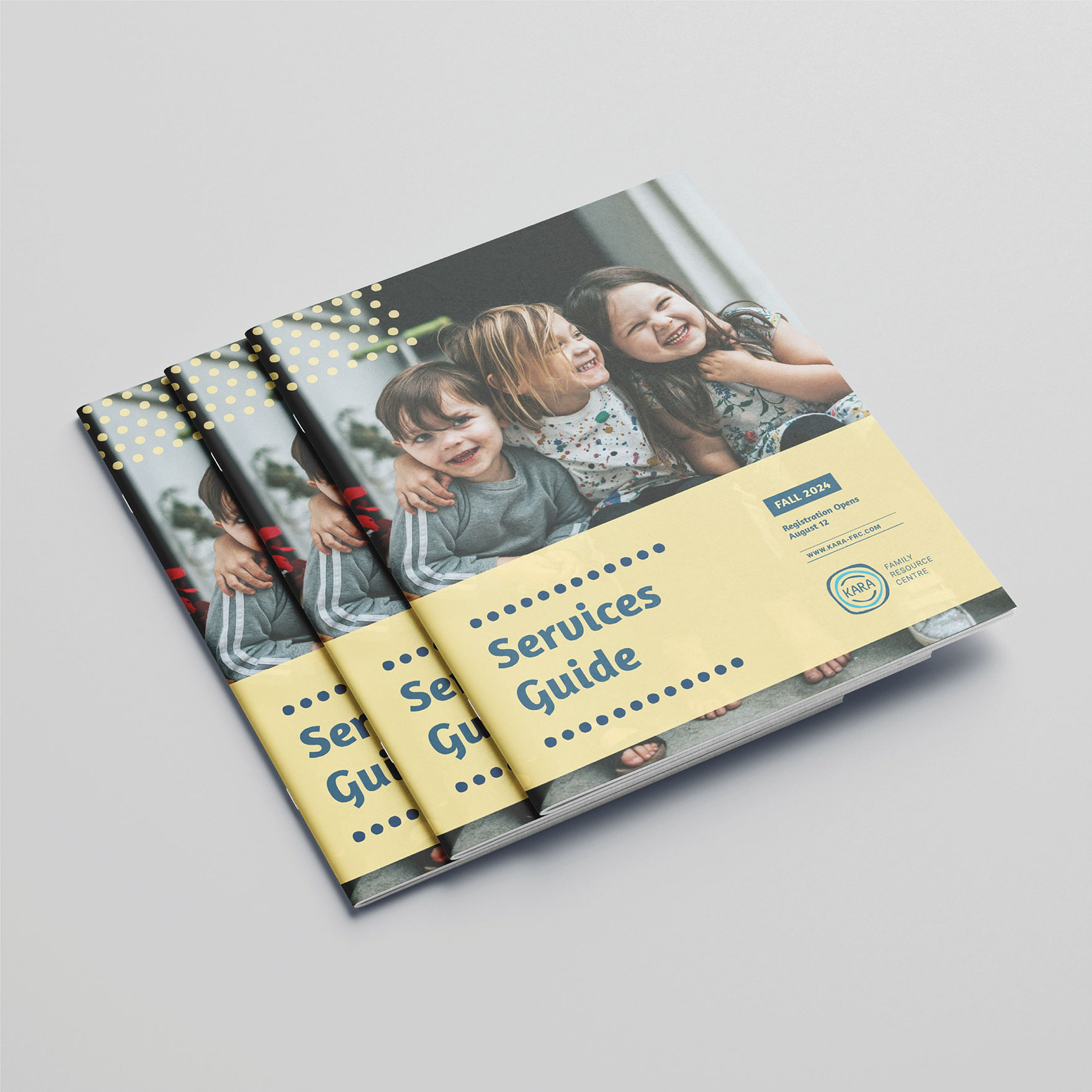 DESN317 P3 Woudstra Susanna cover