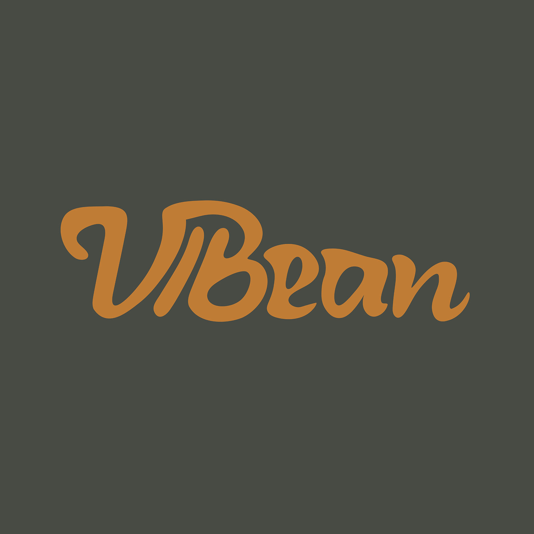 DESN318 P4 Bratrud Cadence ViBean Coffee Logo