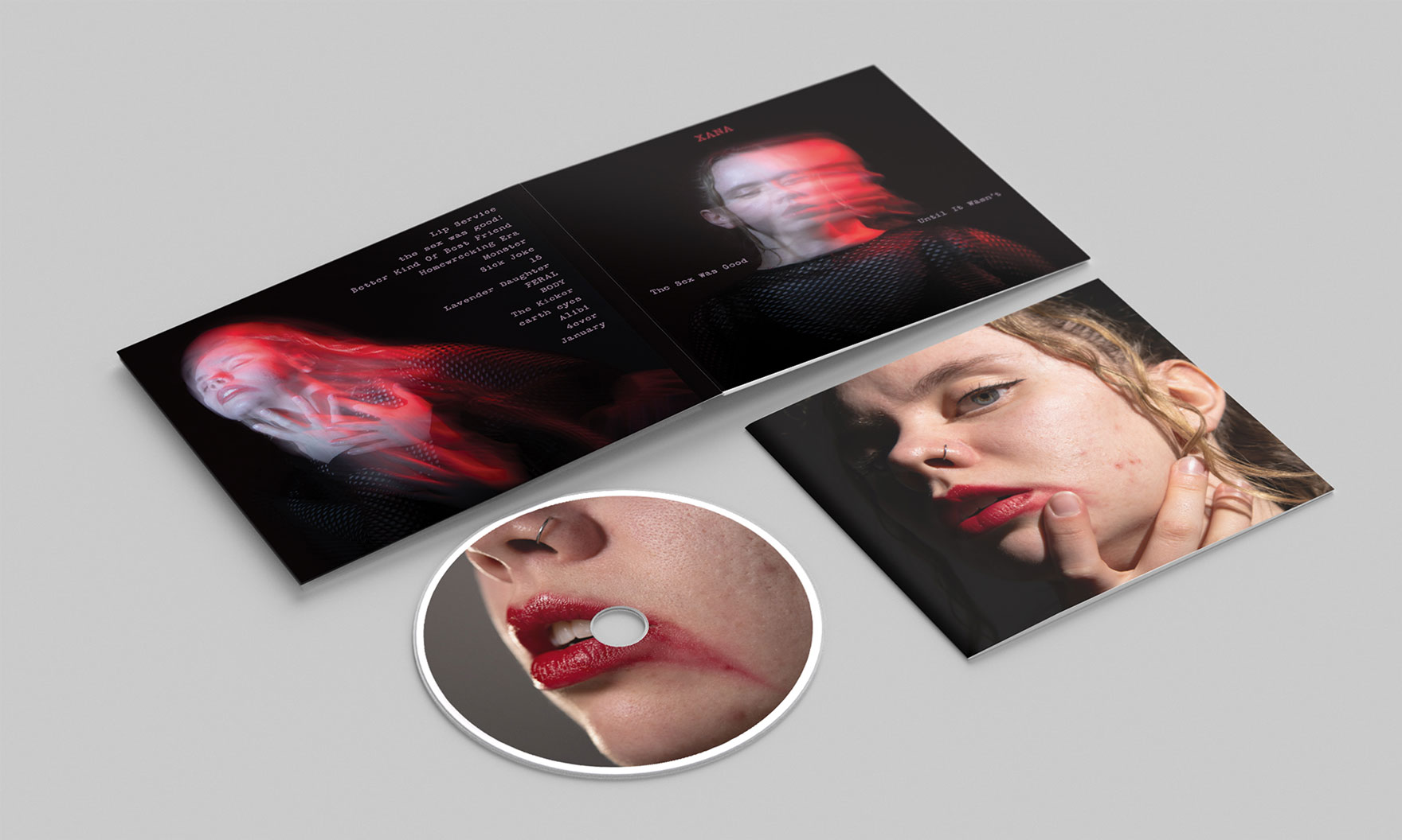 DESN350 P4 Reich Macey Illustrative Album Cover CD Mockup PRIMARY