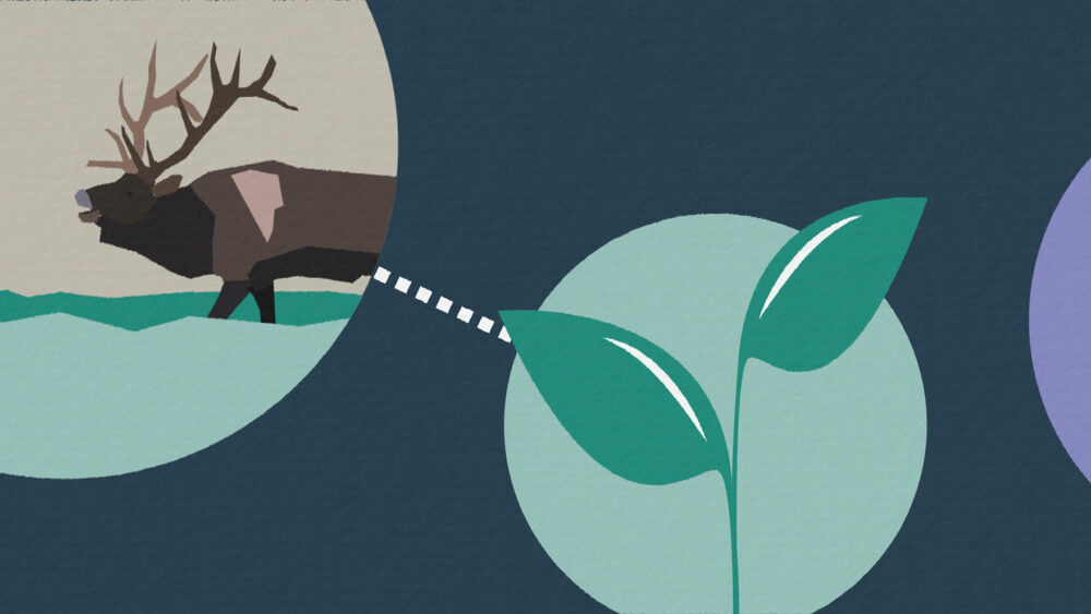 Biodiversity Pathways Informational Videos