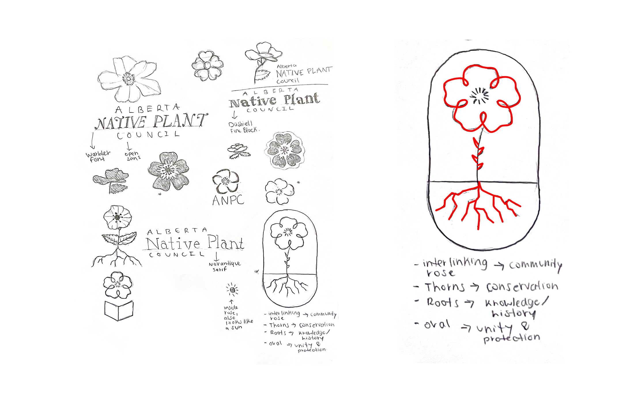 Collins Meagan Capstone Image01 Web