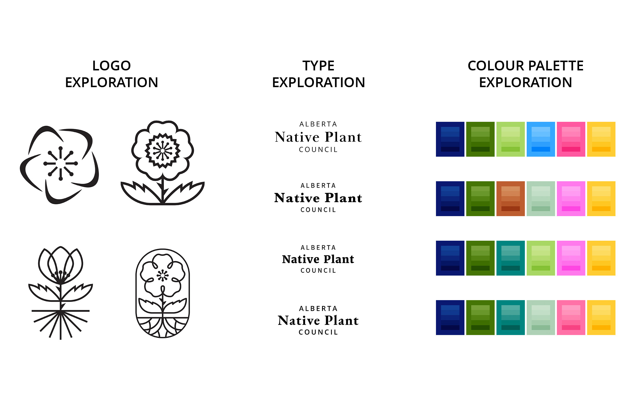 Collins Meagan Capstone Image02 Web